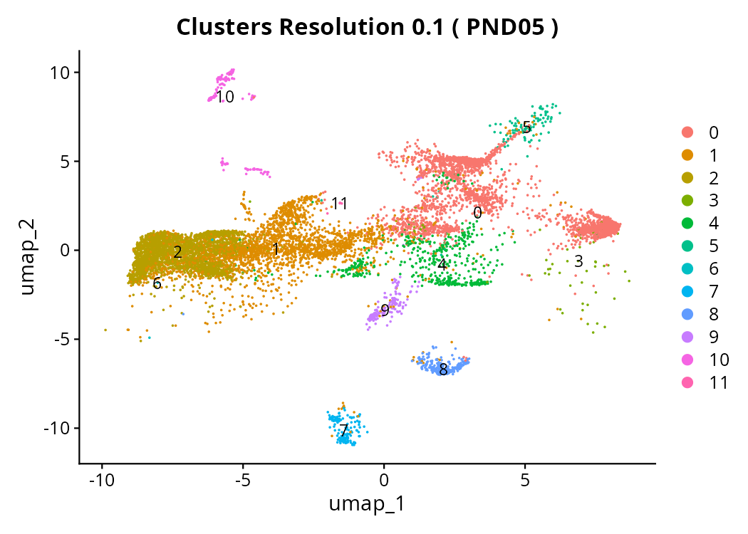 Cluster