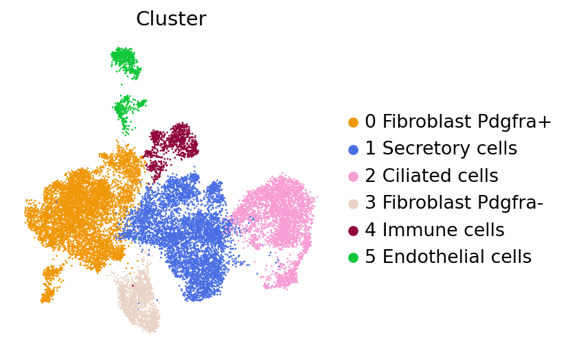 Cluster